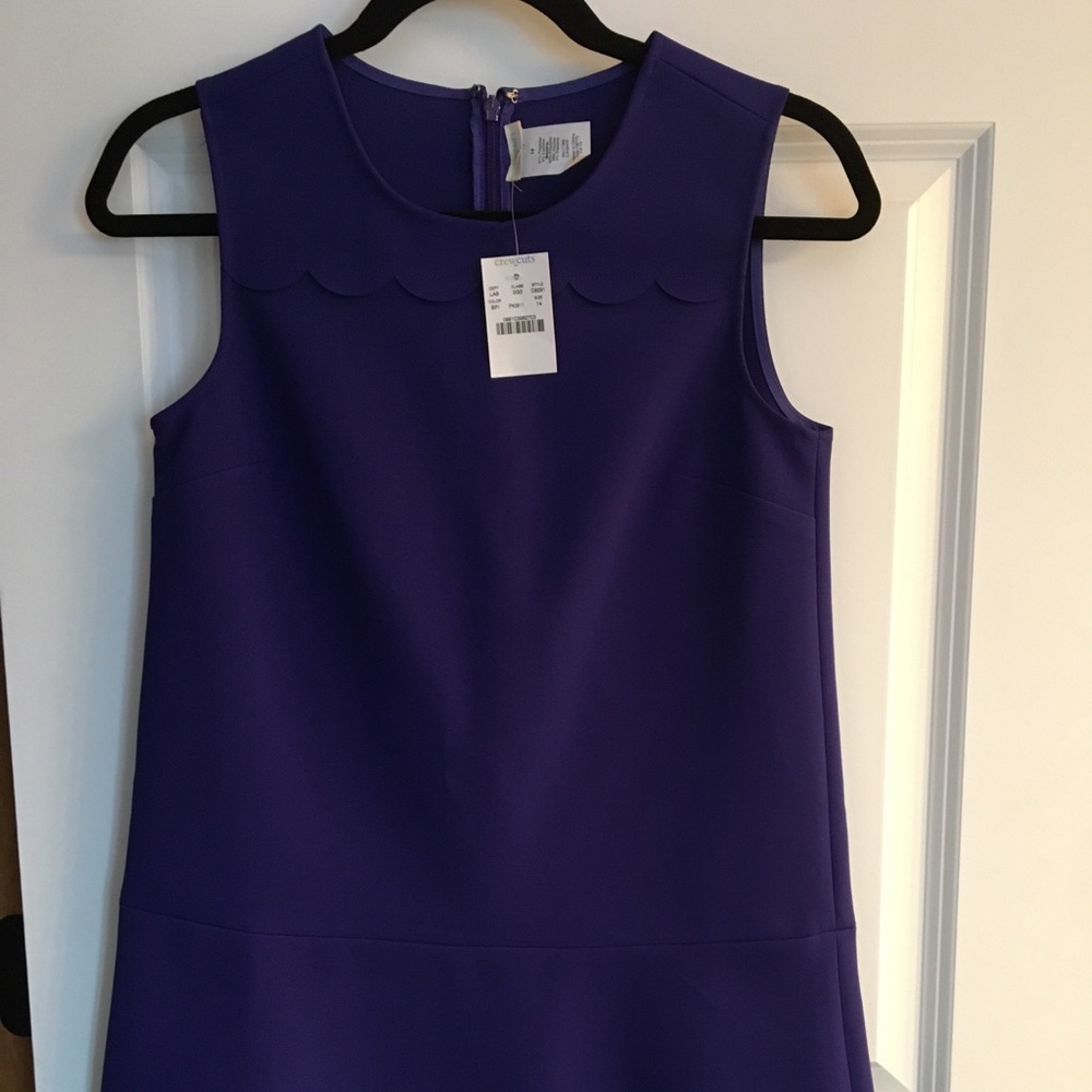 NWT J Crew Crewcuts Girls Blue Dress